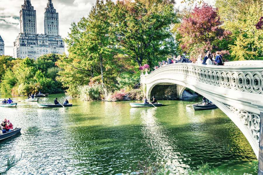 Day Trips in New York