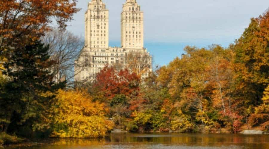 Fall NYC 2018