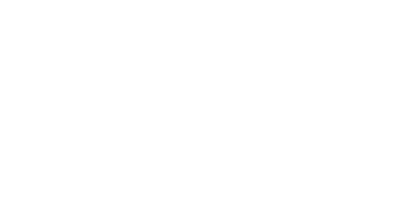Officially Licensed by the Port Authority of NY and NJ