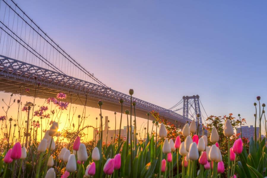 Spring in New York City