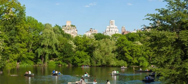 Visiting NYC in the Summer
